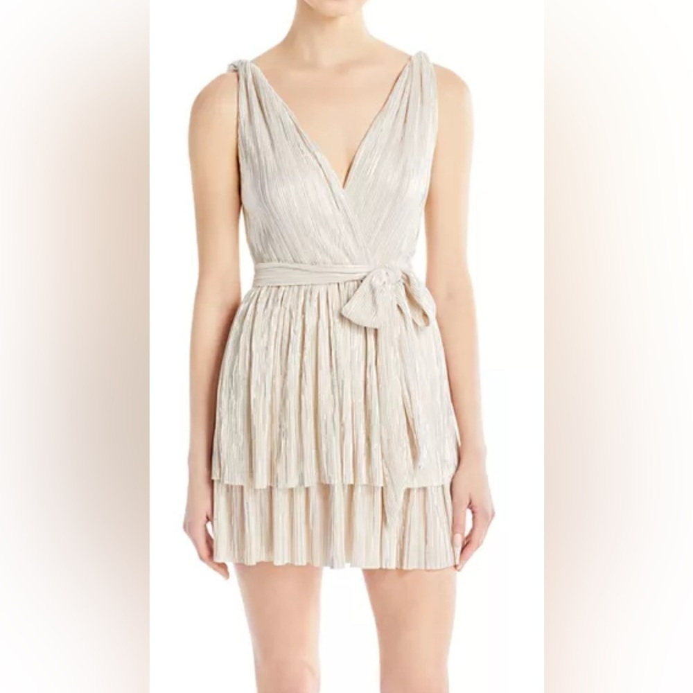 Sabina Musayev Alma Plisse Mini Dress